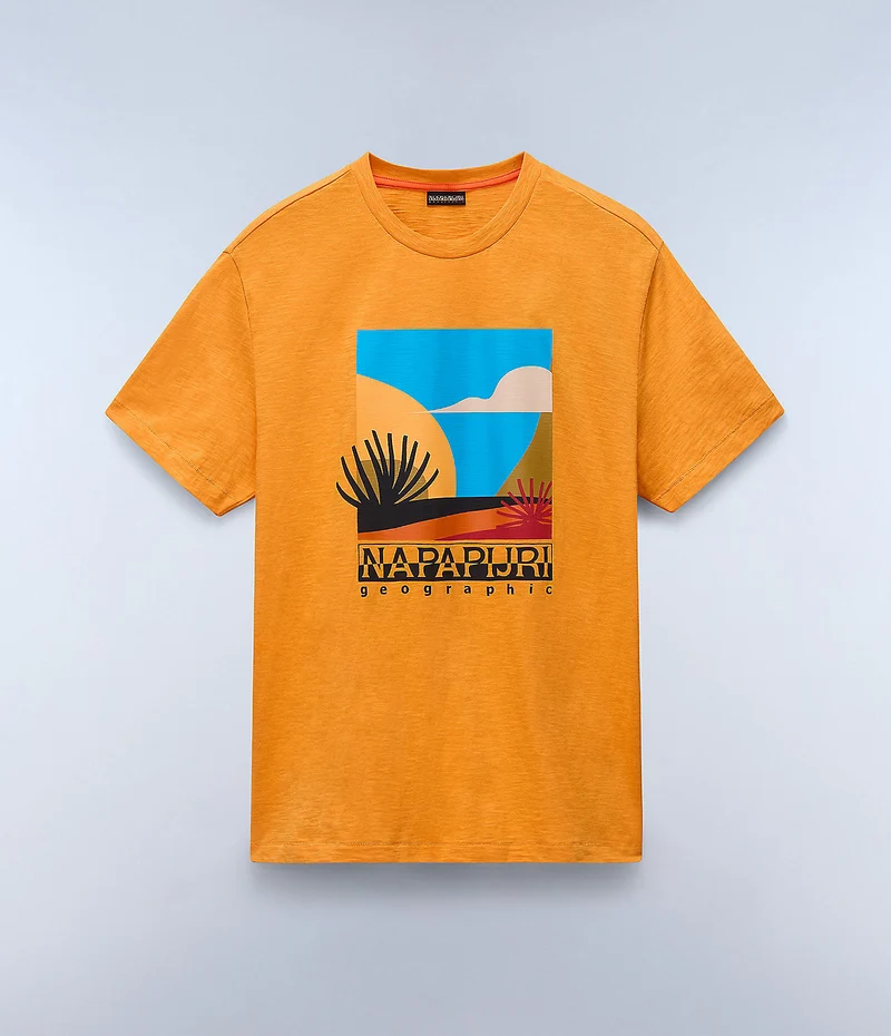 Napapijri Arbia T-shirt voor heren - Abrikoos