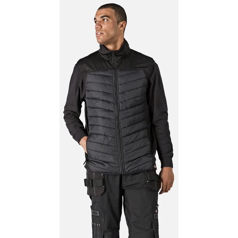 Dickies Generatie hybride bodywarmer voor heren - zwart