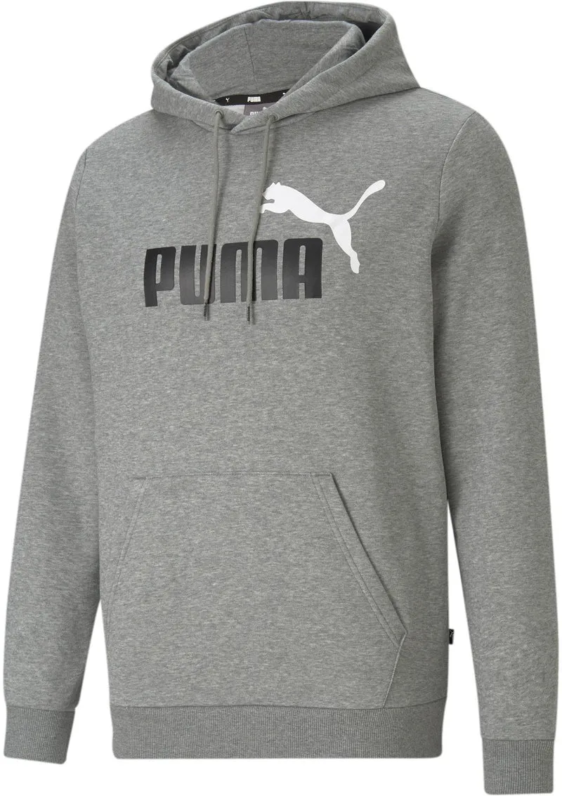 Ess+ 2 Col Big Logo Hoodie