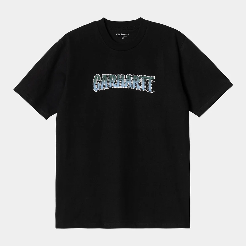 Carhartt WIP Slow Script biologisch T-shirt met korte mouwen voor heren - zwart