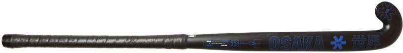 Vision 55