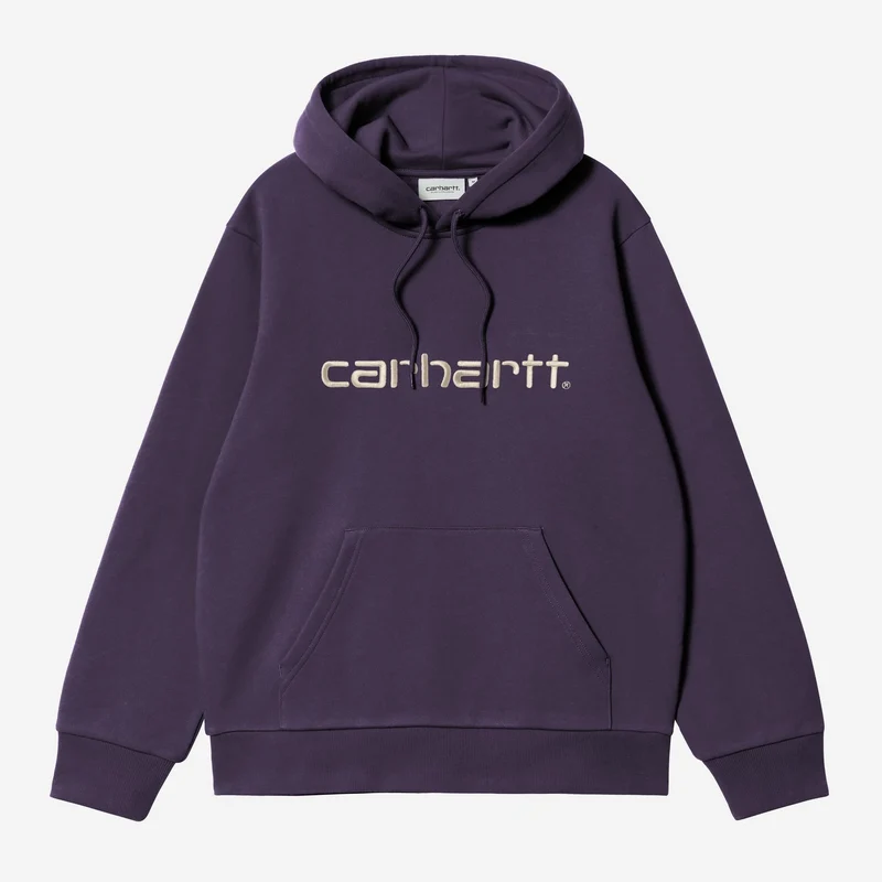 Carhartt WIP HEREN Carhartt Hoodie | Lokers / Zout