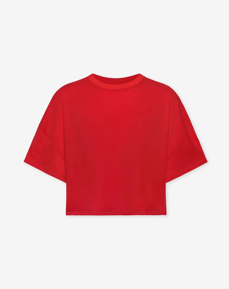BASIC CROPPED OVERSIZED TEE ROOD