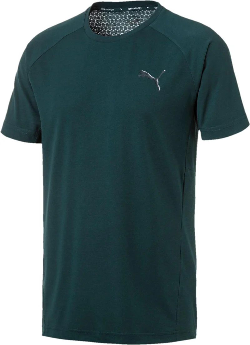 evostripe move tee