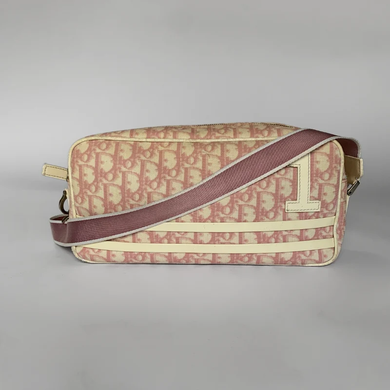 Dior Messenger schuin canvas