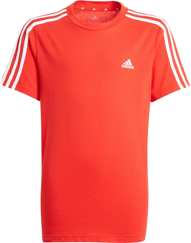 B 3s T