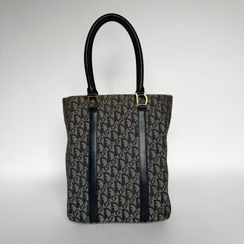 Dior Shopper Schuin canvas