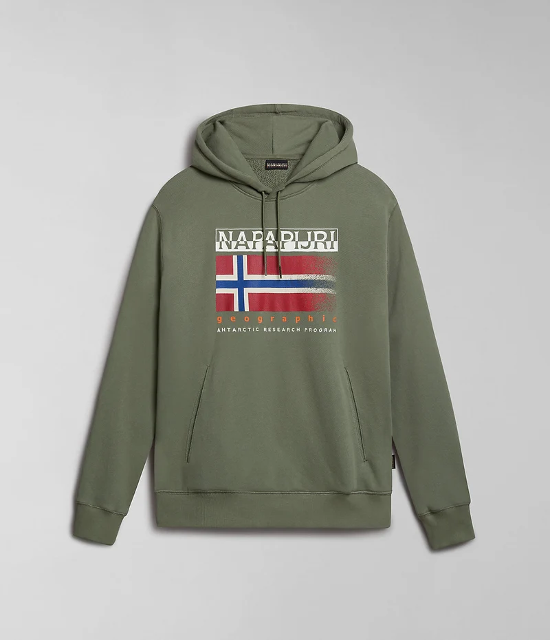 Napapijri Heren Kreis Hoodie - Groen