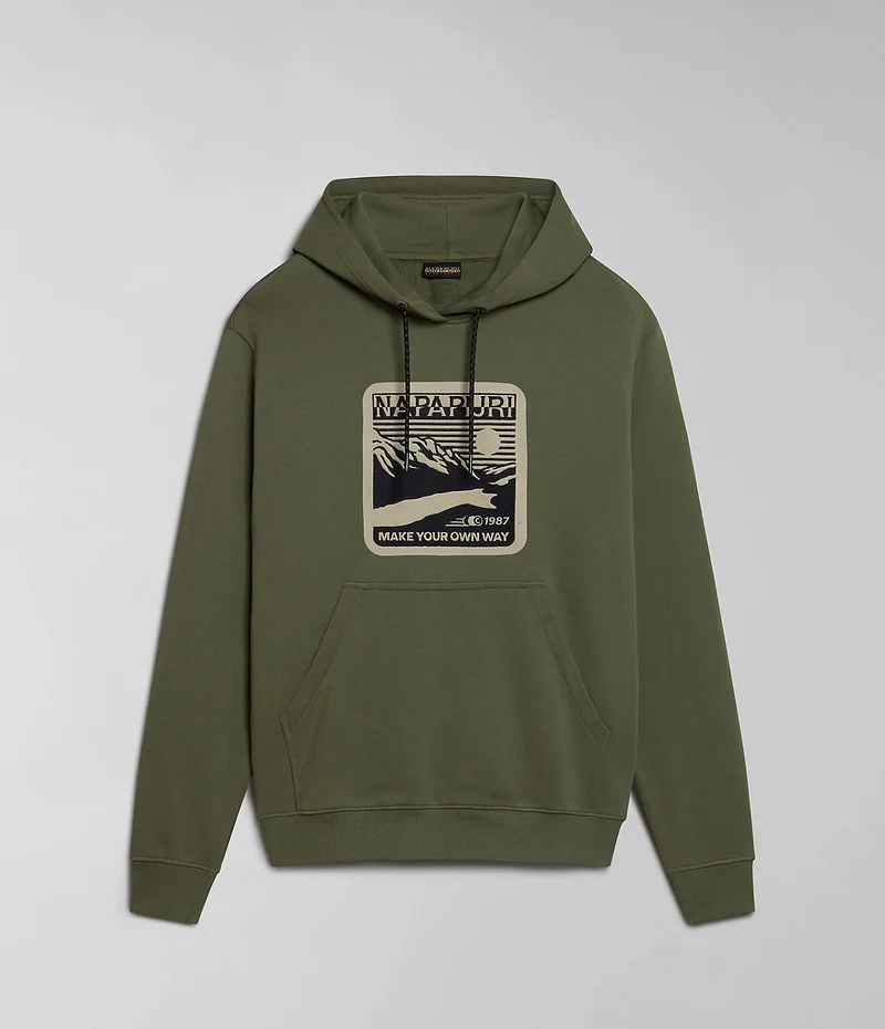 Napapijri Heren Boyd Hoodie - Groen