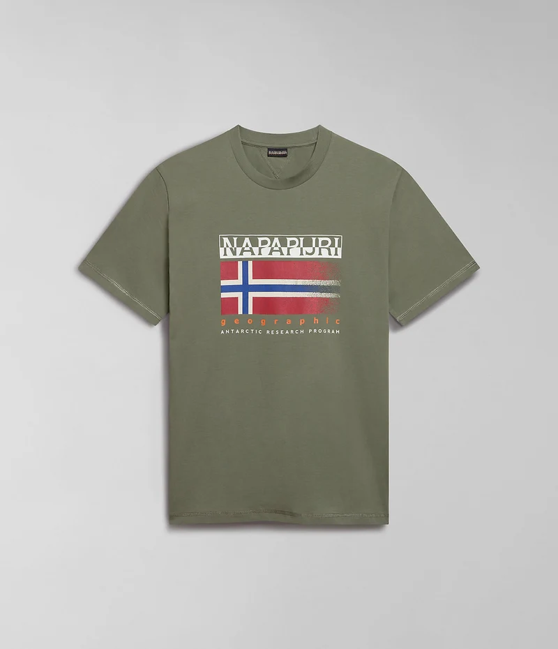 Napapijri Heren Kreis T-shirt - Groen Korstmos